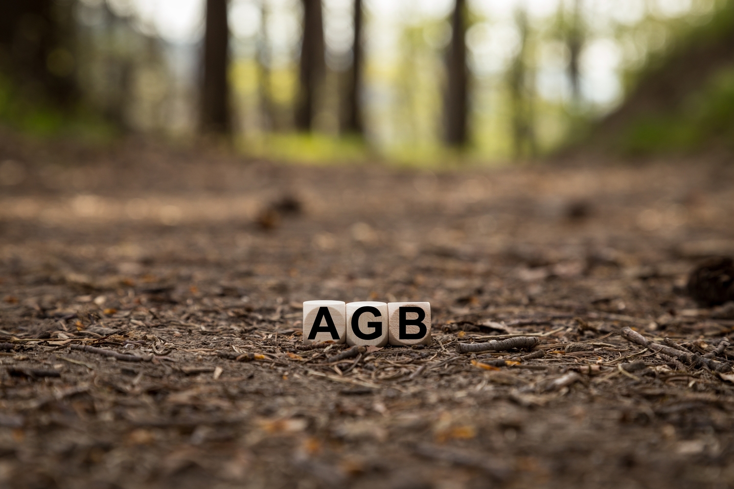 Allgemeine Geschäftsbedingungen, Würfel und Wald / Oliver Henze